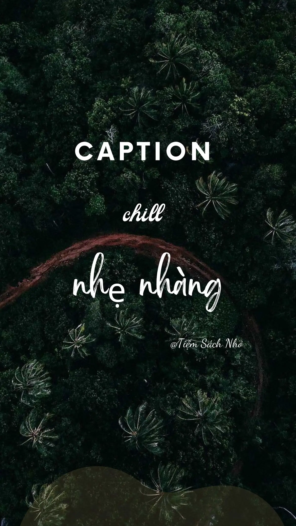Cap 10: Những dòng tâm sự nhẹ nhàng cho bạn.  #tiemsachnho #sách #tríchdẫnhay #caption #nhungcaunoihay #capchill #captionhay 