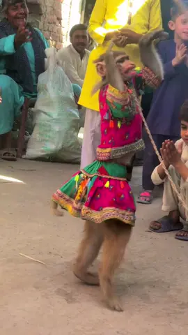 #monky dance#foryoupag#fannyvideo🤣🤣🤣🤣🤣🤣 