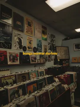 di dalam vas, di samping buku 🎶 Setangkai Bunga Mawar - Hendri Rotinsulu #fyp #foryou #foryoupage #lirik #liriklagu #music #story #templatecapcut #CapCut 