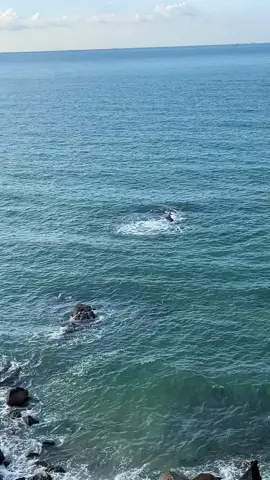 Gửi hết tâm tư vào biển khơi…. #vungtau #xuhuong #fyp 