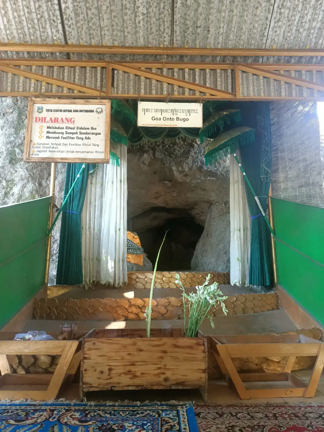 Pendakian Gunung Arjuno Via Purwosari adalah salah satu Jalur Spiritual yang sering digunakan untuk para Rombongan yang ingin Sowan Ke Petilasan Eyang Semar Yang ada Di Pos 4 , Patung Eyang Semar Tersebut adalah salah satu Patung Semar Tertua di Indonesia  #fyp #fypシ゚viral #xyzbcafypシ #fypage #fyppppppppppppppppppppppp  #gunungarjuno #malang #jawapride #jawatimur #jowopride #jowostory #eyangsemar #makuthoromo #goaontoboega 