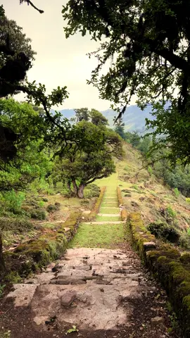 Peace begins with nature..Mundhum Trail, Bhojpur-Khotang !!!!! 🌲🌲🌲🌲