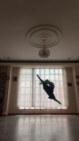 🖤🦢 Again 🙊 #fyp #blackswaninstrumental #fypシ゚viral #parati #ballet #ballerina #meredith #dance #dance #turns #orchestra 