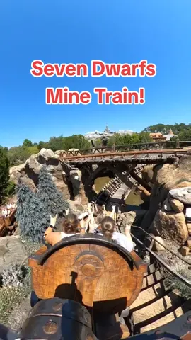 Is Mine Train worth waiting in line for!?  #snowwhite #sevendwarfs #sevendwarfsminetrain #minetrain #fantasy #fantasyland #magic #magickingdom #disneyworld #Rollercoaster #coasters #coastertok #trending #explore #fyp #fypage #tiktok 