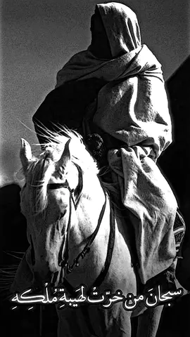 سبحان من خرت لهيبة ملكه جن البرابر وانجلت أحزانيه .. #ناصر_الفراعنه #شعر #قصيده  #قصيده_شعر_بوح_كلام_من_ذهب  #islamic_video #capcut  #تاريخنا_العظيم⚡️📚 #viral 