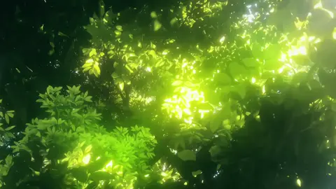 Âm thanh của mùa hè.