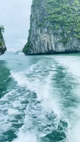 Đi cano khớp nhạc này cuốn nha #laiacadiremix #biển #nhachaymoingay #xuhuong #fyp #trend #nhactrend #nhaccuon 