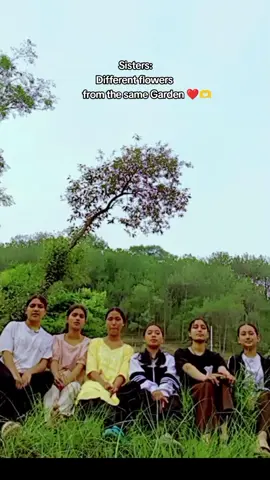 #sisterhoodstrongertogether❤️ #fypシ゚viral #keploving💚 #humlamuser😊❤️ @Bipana Bipana @💜🌺💜 @Sara-maya💜 