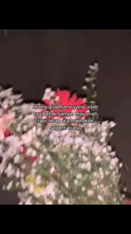 #foryou #galaubrutal #zyxcba 