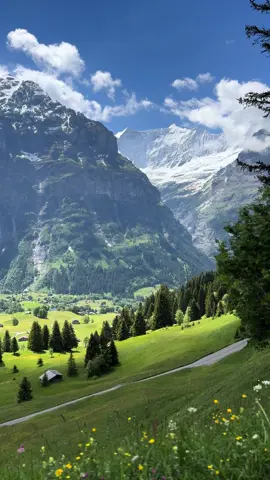 Peace! #Hiking #switzerland #grindelwald #nature #fyp #mountains #snow 