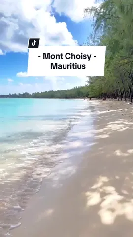 📍Mont Choisy beach, Mauritius #mauritius🇲🇺 #travel #montchoisy #oceanlife #beach #mauritius #traveltiktok 