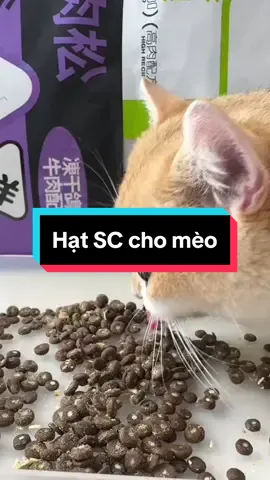 Hạt SC cho mèo mọi lứa tuổi #thucanchomeo #hatscchomeo #hatkhochomeo #giahuypetshop 