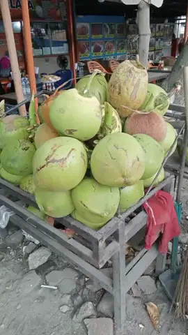 Yg lewat Perbaungan jangan lupa mampir dilesehan kita ya besty🥰🥰 #lesehaneskelapamuda # #sergaiwalkperbaungan # #soundtranding❤️ 