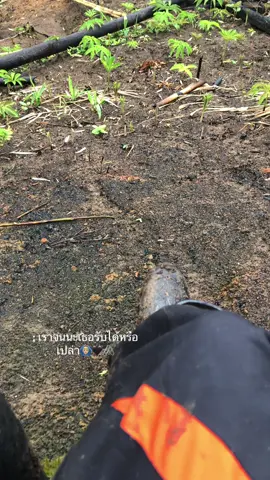 #สตอรี่ม้ง🦋✨ #เธรดม้ง🌹🌸 #kiadtisak❤️ #fypシ゚viral #สตอรี่ คนจนๆคนนึง