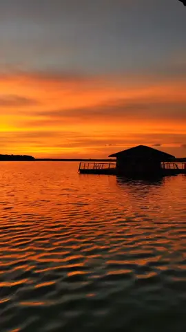 #video #editvideo #fypviral #sunset #senja 