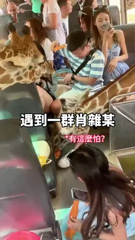 泰國必去體驗行程
