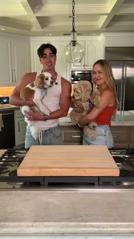 Bring your dog to work day #cooking #DIY #pets #dogs #sister #family #FathersDay #thesignguy #signguy #foryoupage #fyp 