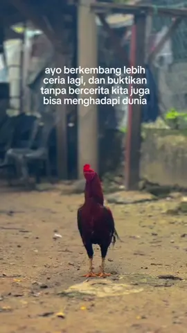 #wegan #xybca #fypage 