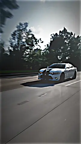 #جارجر #الوحش_الامريكي🔥🔥💪🏿 #الشعب_الصيني_ماله_حل😂😂 