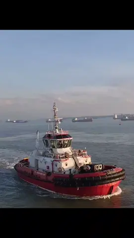 aku makin cinta sama kamu #foryou 