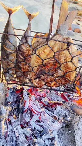 Makan ikan bakar dipingir pantai wane🤍