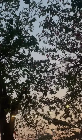 1 buổi tiệc cưới Mini ấm cúng và lãng mạn được set up bởi 𝐇𝐚̉𝐢 𝐒𝐚̉𝐧 𝐕𝐮𝐚 𝐁𝐢𝐞̂̉𝐧 𝐓𝐢𝐞̣̂𝐜 𝐕𝐢𝐥𝐥𝐚  𝐀𝐧𝐡 𝐜𝐡𝐢̣ 𝒍𝒊𝒆̂𝒏 𝒍𝒂̣𝒄 𝒕𝒆𝒂𝒎 𝒆𝒎 : 𝐓𝐢𝐞̣̂𝐜 𝐕𝐢𝐥𝐥𝐚, 𝐁𝐨𝐨𝐤𝐢𝐧𝐠, 𝐃𝐞𝐜𝐨𝐫, 𝐃𝐉, 𝐌𝐚𝐤𝐞 𝐔𝐩, 𝐃𝐚𝐧𝐜𝐞𝐫𝐬, 𝑷𝒉𝒐𝒕𝒐,  𝑭𝒊𝒔𝒉𝒊𝒏𝒈 𝒏𝒈𝒐𝒂̀𝒊 𝒌𝒉𝒐̛𝒊 ,…☺️ #tiecvilla #tiechomestay #villavungtau #dulichvungtau#villavungtaugiare #haisanngon #haisansong #haisanre #haisantuoi #haisanvuabien #tiecsinhnhat #dulich #doanngon 