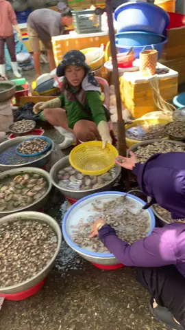 Buổi sáng đi #chợnạiphanrang Hải Sản Ninh Thuận có gì. 