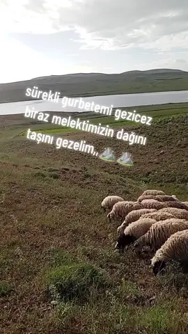 #dağ #taş #gurbeti #welat #ğeribi #kefset #akim #tutarmı #pez #beğ #van #özalp #öne #öneçıkar ####😂 