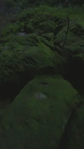 Sevmək üçün✨ #retro #retronunsesi #kino #music #movie 