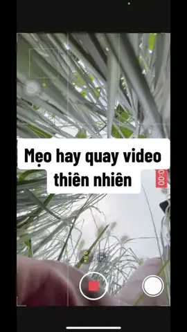 Mẹo hay quay video thiên nhiên #quayvideothiennhien #thiennhien #canhchill #datkim #datkimdaylamvideo