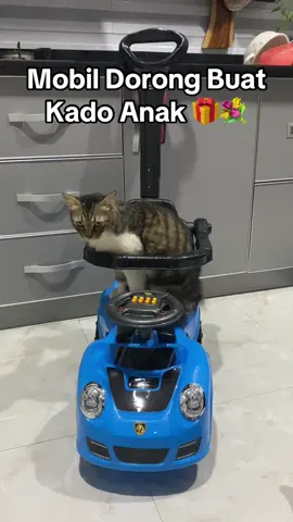 Anak lanangku minta jalan-jalan terus semenjak punya ini 🤣🤣🤦‍♂️ Cuma 200ribuan #muflihtoysbedahan #tokomainan #mobildoronganak #shptoys #fypシ゚viral #fypage #milliondollarbaby 