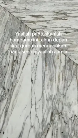 #fypシ゚viral #berandatiktok #fyppppppppppppppppppppppp #iduladha #qurban 