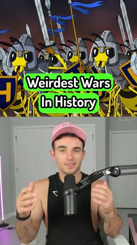 Weirdest Wars In History