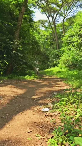 coming soon😉 📷@Emitat 🇪🇷🇪🇷🇪🇷 #viral #eritreantiktok🇪🇷🇪🇷habesha #acting #eritreanmodels🇪🇷 #ethiopian_tik_tok🇪🇹🇪🇹🇪🇹🇪🇹 #tigraytiktok #fashion #eritreanmusic #modelnati