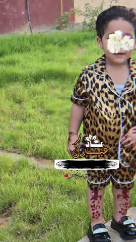 عساكم من عوادة #عساكم_من_عواده  #ليبيا #قدادفه_يكبدي👋🏻💚 