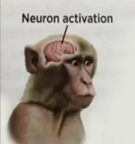 tatuaje en el cueio #LAGULA #melianvalen #mortedor #neuronactivation @mortedor @melianvalenn