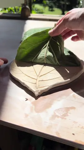 Leaf plates all done #leafplate #ceramics #pottery #potteryvids #ceramicsculpture #ceramicstudio #leaftok #ceramicsoftiktok 