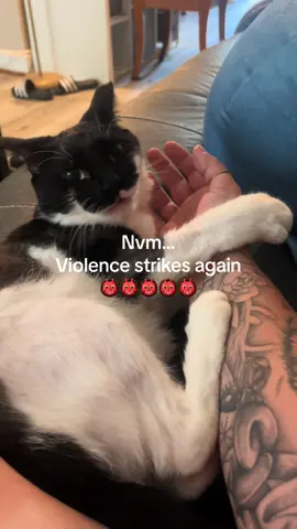 Yeah. Cats are FUN. 🙄😂 #catsoftiktok #funnycat #fyp #tuxedocat #funny