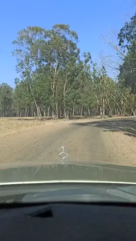 #sale #culture #route #Love #mercedes #rabat #c250 #124 