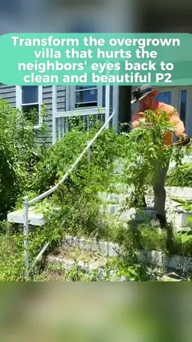 Transforming an abandoned 2-story house overgrown with grass. P2 💚🙏 #abandoned #satisfying #cleaning #clean #transforming #transformers #CleanTok #makeover #happyday365 #bestvideo #satisfyingvideo #longervideos #edges #lawncare #mowing #cleaningtiktok #cleanup #community #help #sidewalk #overgrown 