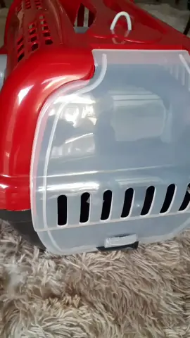 Caixa de Transporte Luxo da Furacão Pet #cat #dog #gato #cao #pet 