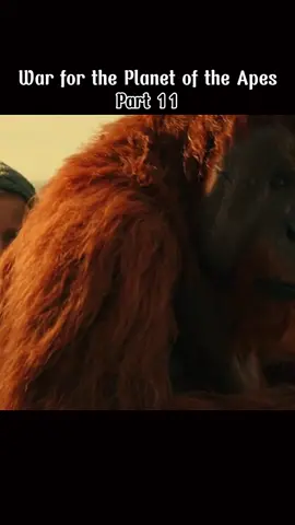 War for the Planet of the Apes : Part 8#movie #fiml #planer #fypPart 11