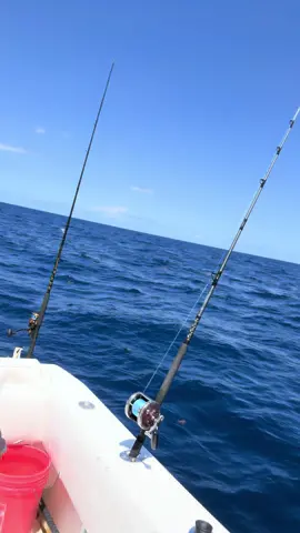 You ready for some screaming reels!!!😜🎣♥️ #fishing #fishinglife #girlswhofish #bikinifishing #boat #mahi #snapper #wahoo #trolling 
