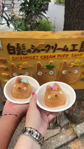 Vlog: conociendo la cafeteria de totoro en Japón 🫶🏻🇯🇵🍓🧋  #japon #japan #tokyo #japantravel #Vlog #vlogjapon 