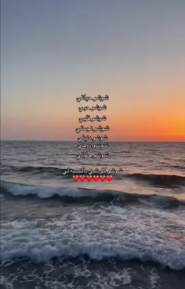 @•SH• 