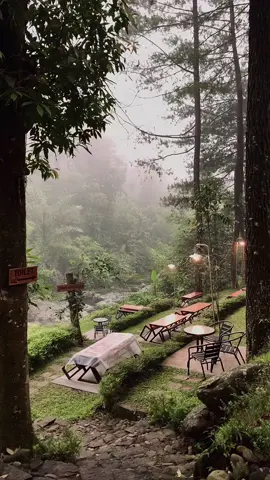 Tenangg bgt kalo ketempat kek gini pas embun turun!🥺  #pwt #cafepwt #alam #baturaden 