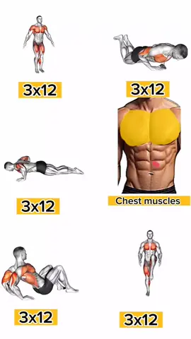 Ultimate No-Equipment At-Home Chest & Muscle Workout #Reducefat #muscle #workout #gainmuscle #Chest #noequipmentworkout #homeworkout 
