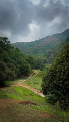 Monsoon is here 💚💚