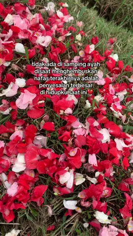 bahkan tidak memenuhi permintaan terakhir nya itu juga salah satu penyesalanku🥹💔 #missyou