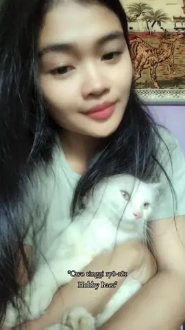 #army #armycat 